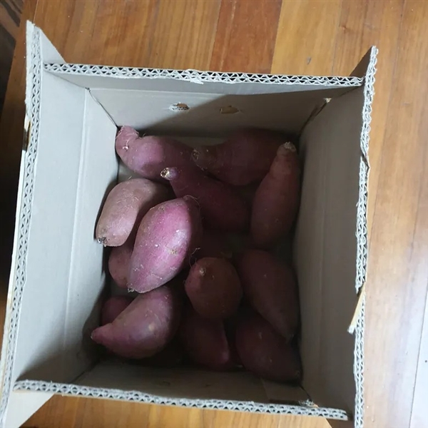 nojbzuo8.png